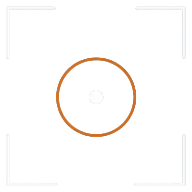 CLARITY ICON